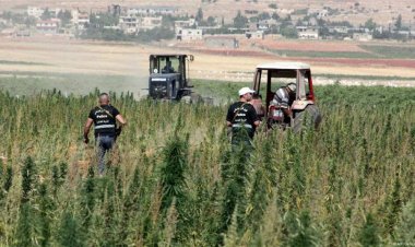 بعد الشحنة العراقية الكبيرة.. 4 أسباب وراء عدم توقف الكبتاغون رغم سقوط نظام الأسد