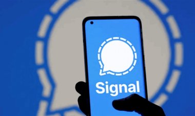 تطور جديد يخص فضيحة "سيغنال"