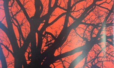 إصدار ثلاثة كتب جديدة عن دار الشؤون الثقافية