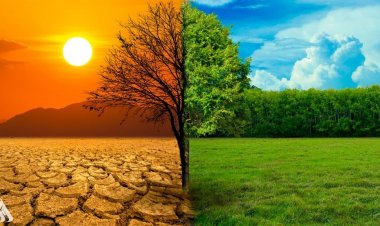 دراسة: كارثة مناخية تنتظر الأجيال القادمة