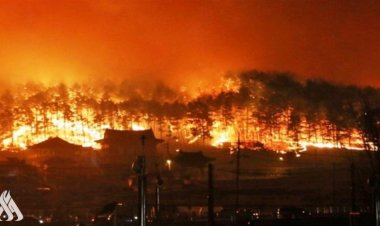 إلى الآن... حرائق كوريا الجنوبية تدمر قرابة الـ36 ألف هكتار من الغابات