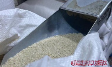 التجارة تعيد الرز المحلي إلى البطاقة التموينية في ذي قار بعد انقطاع 3 سنوات