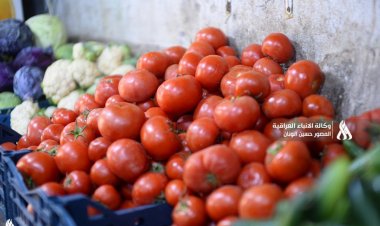 الزراعة: الحكومة نجحت في استقرار الأسواق المحلية وتوفير المحاصيل الزراعية