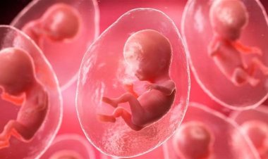 ولادة اول طفل في العالم بتلقيح "الذكاء الاصطناعي"