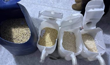 إحباط تهريب 15 كغم من المخدرات قادمة من سوريا الى العراق عبر نهر الفرات (صور)