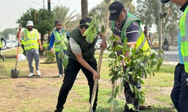 البيئة: تعاون دولي بمجالات التشجير ومكافحة التصحر وتوجه لاعتماد تقنيات الاستمطار الصناعي