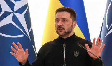 سياسي فرنسي: زيلينسكي مجنون تماماً