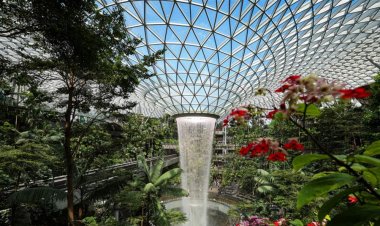 بينها دول عربية.. أفضل 20 مطارا في العالم لعام 2025