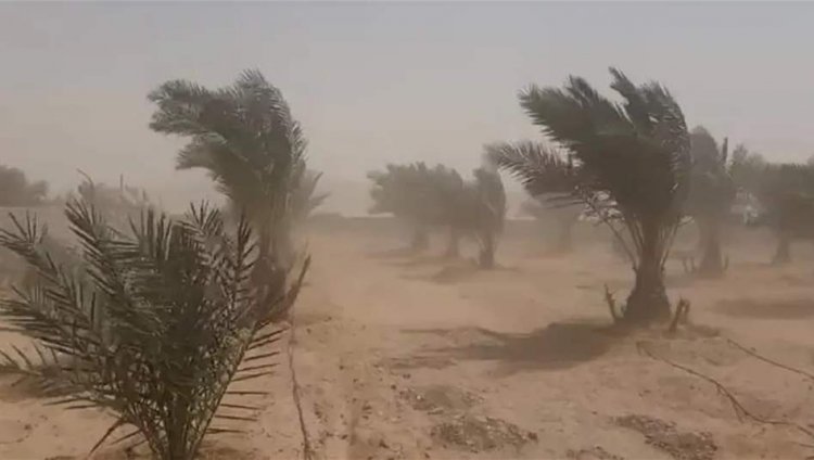 العاصفة الترابية تشتد.. هؤلاء ممنوعون من الخروج