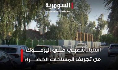 في اليرموك.. تحويل مساحات خضراء لكتل اسمنتية