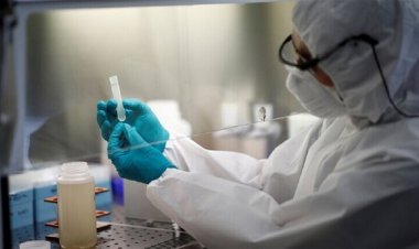 عالم روسي يكشف مفاجأة ساعدت البشر على مواجهة كورونا