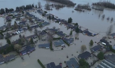 نزوح في واشنطن