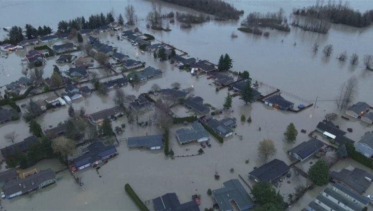 نزوح في واشنطن