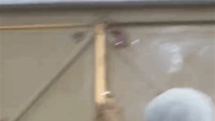 البصرة.. مطالبات لوزير التربية بالتحقيق وسحب يد مديرتي مدرستين بسبب مشاجرة بينهما